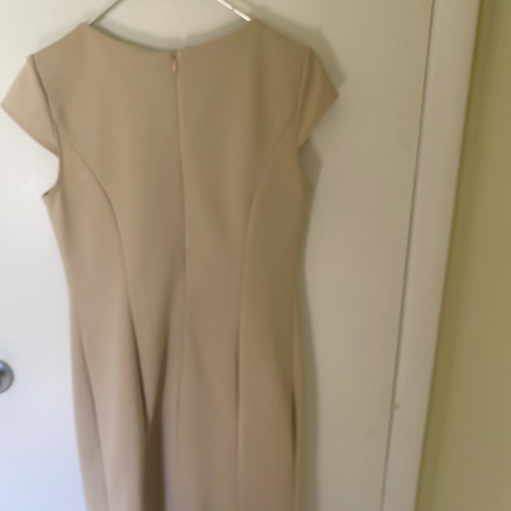 Sandra Darren sleeveless 6